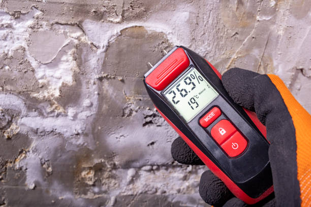 Best Commercial Mold Removal  in Broomall, PA