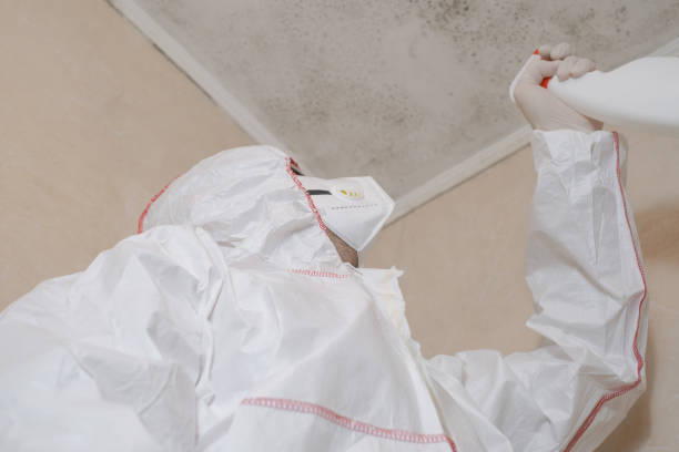 Best Mold Testing  in Broomall, PA